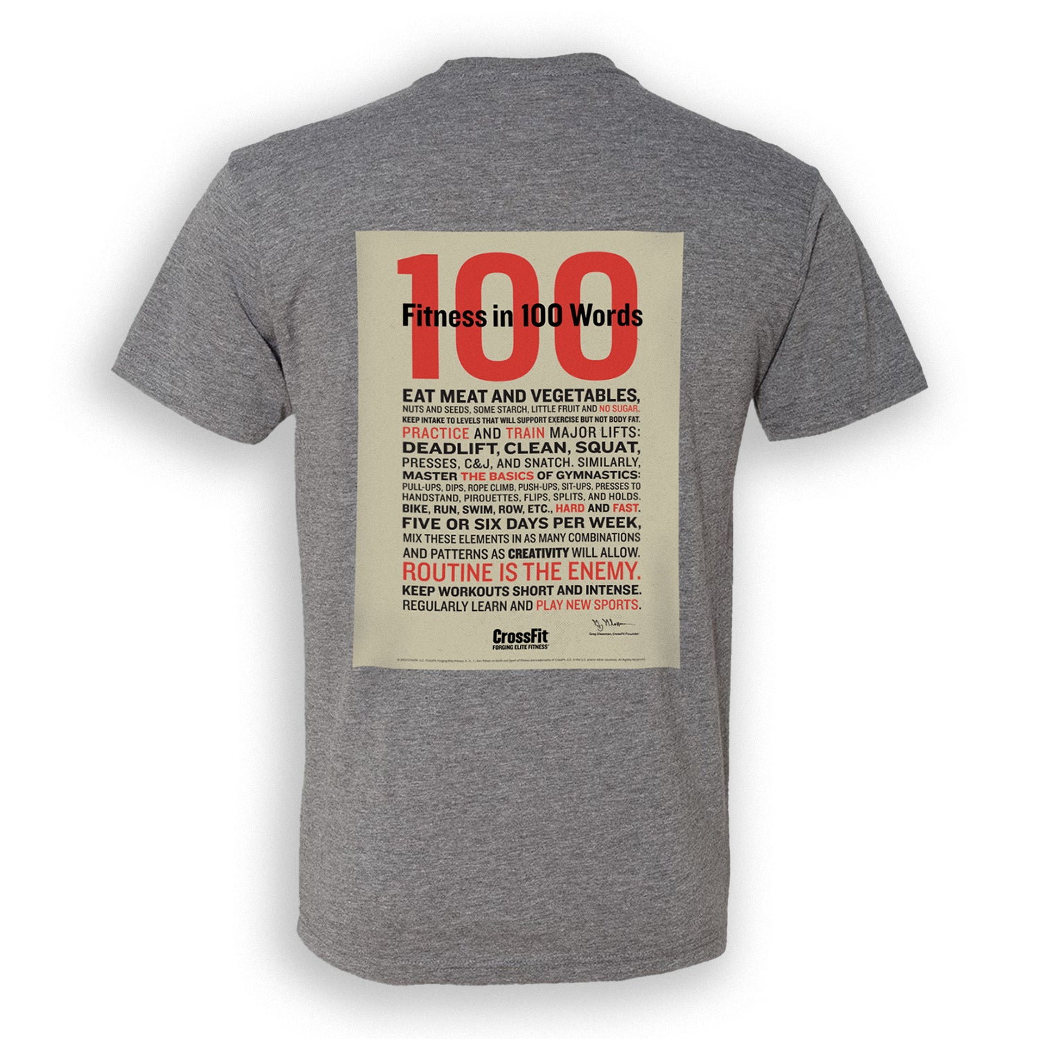 CrossFit Fitness in 100 Words T-shirt — Gray - back view